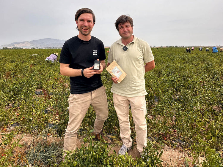 Paprika Bola de Murcia - Direkt vom Feld