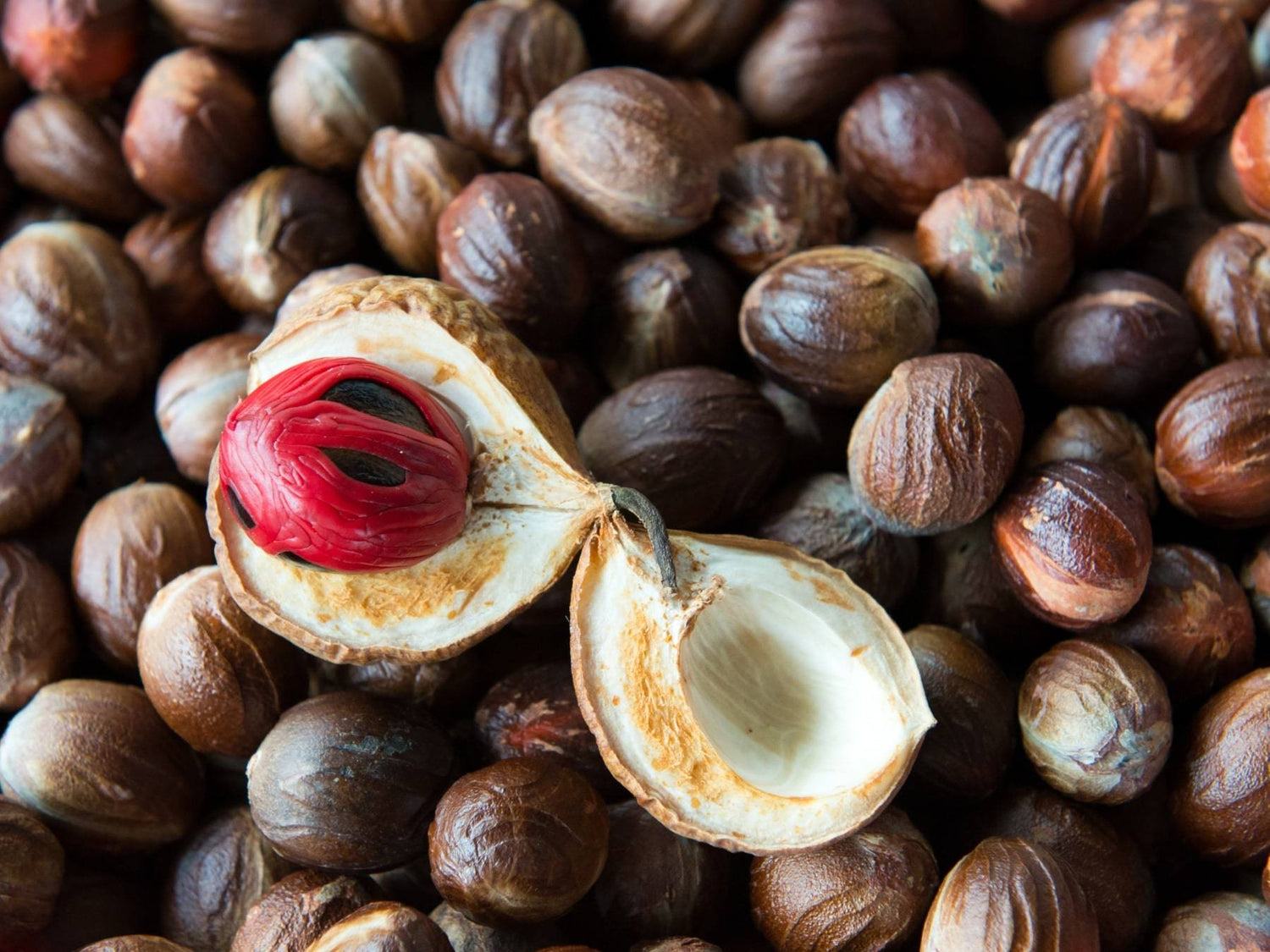 Muskat - Direkt vom Feld