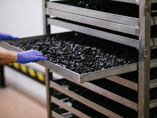 Schwarzer Knoblauch - Direkt vom Feld