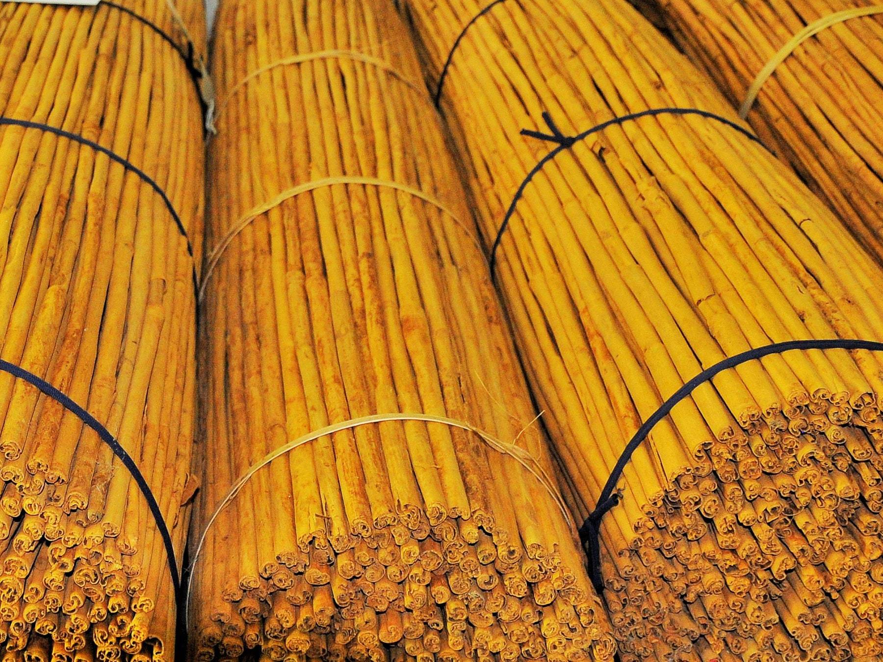 Bio Ceylon-Zimt Bündel Direkt vom Feld