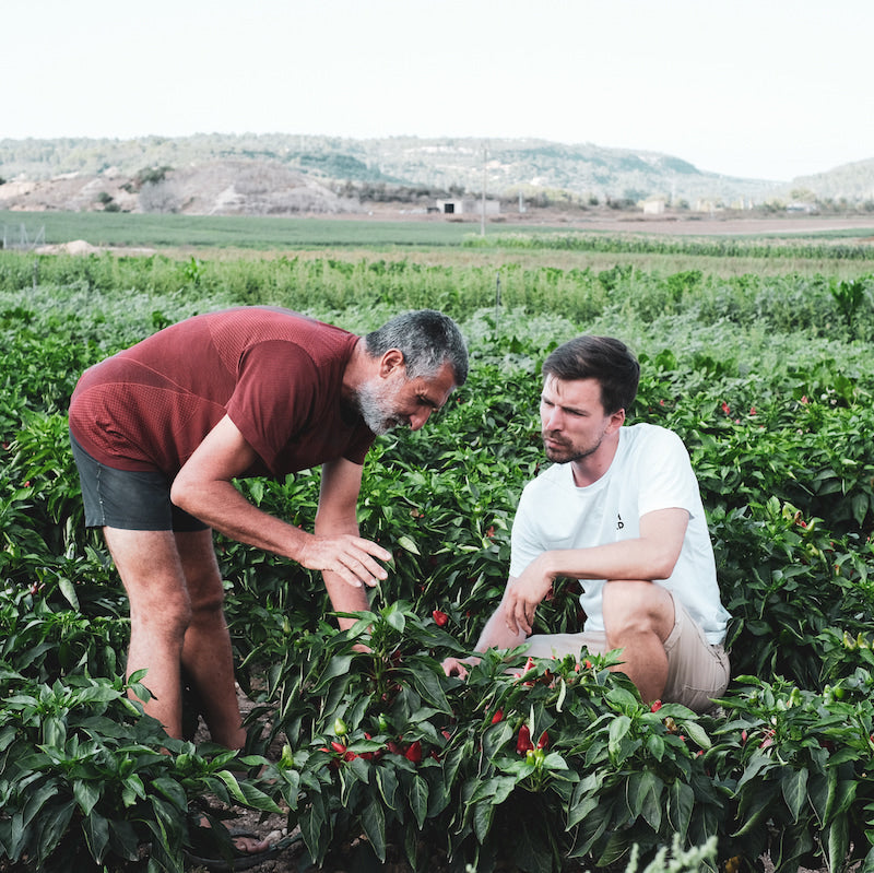 Parika Bauer Joan Adrover aus Mallorca und Gewürzexperte Richard Friedrich Direkt vom Feld