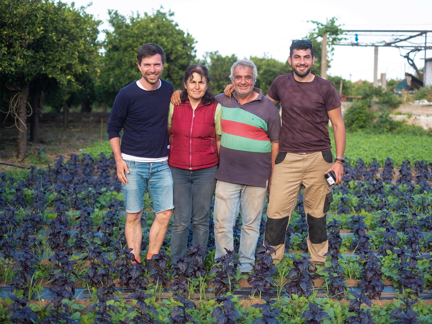 Richard und die Familie Kyrios auf dem Basilikum-Feld in Leonidio | Biogewürze Direkt vom Feld