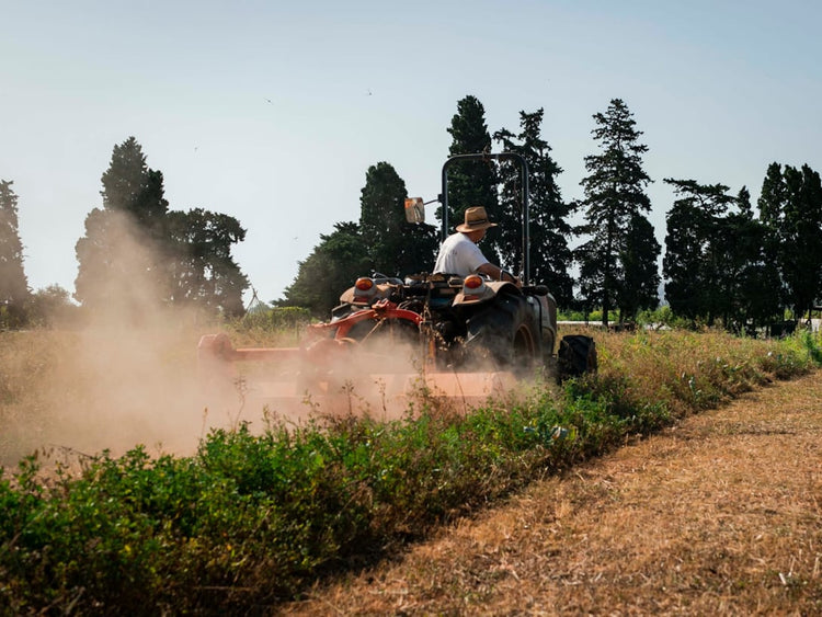 Kooperative auf dem Feld | Bildquelle: Terra Masia