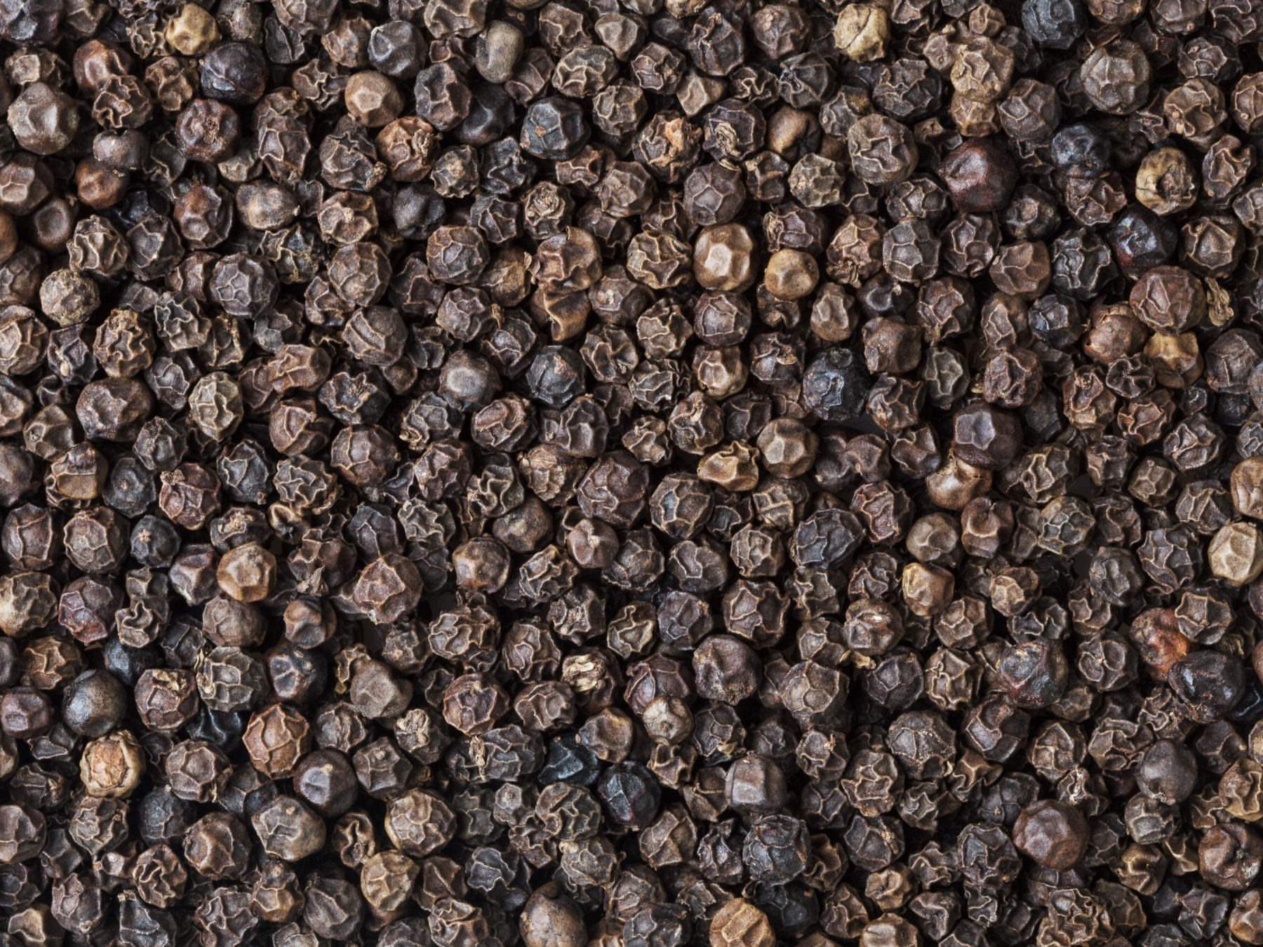 Geräucherter Urwaldpfeffer (alt) - Direkt vom Feld