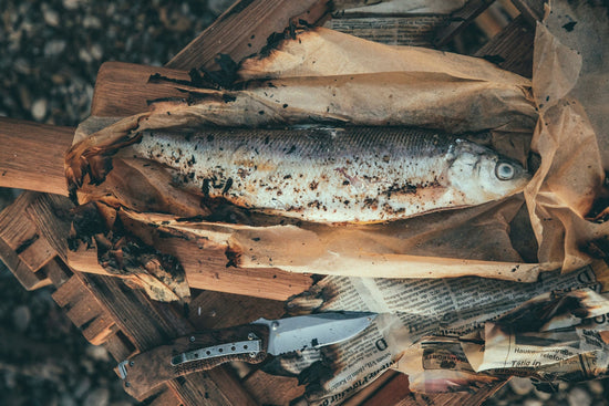 Fisch in Zeitungspapier gegrillt - Direkt vom Feld