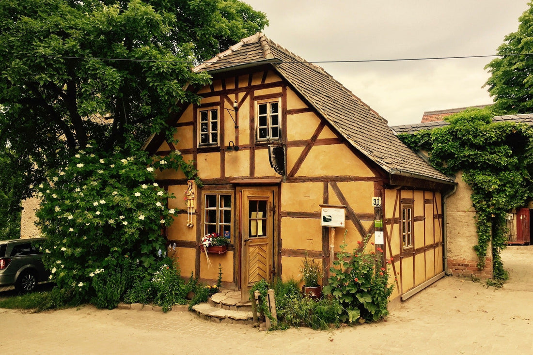 Guidohof 🇩🇪 - Direkt vom Feld