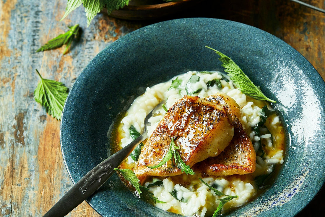 Hecht auf Brennnessel-Risotto - Direkt vom Feld