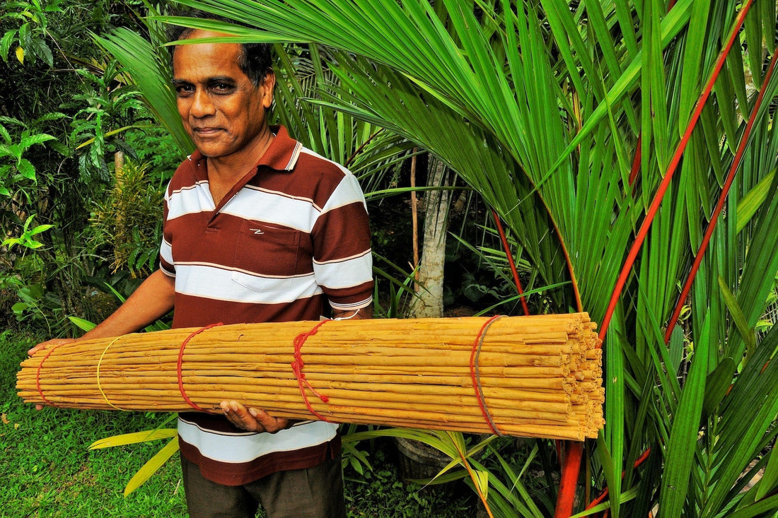 Kooperative Podie 🇱🇰 - Direkt vom Feld
