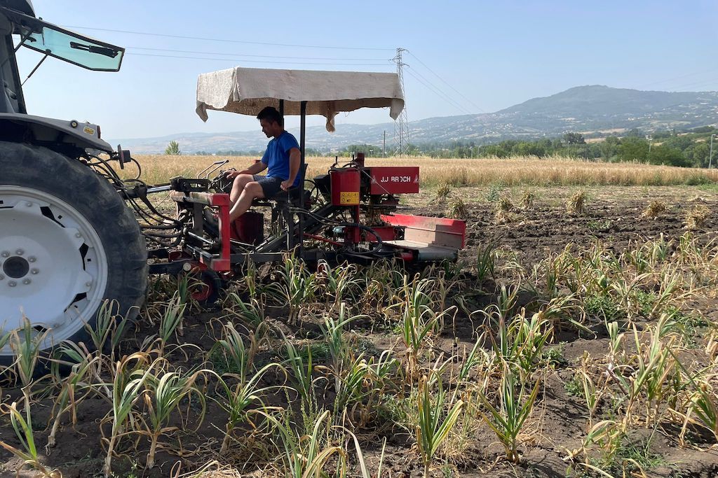 Kooperative Sabina 🇮🇹 - Direkt vom Feld