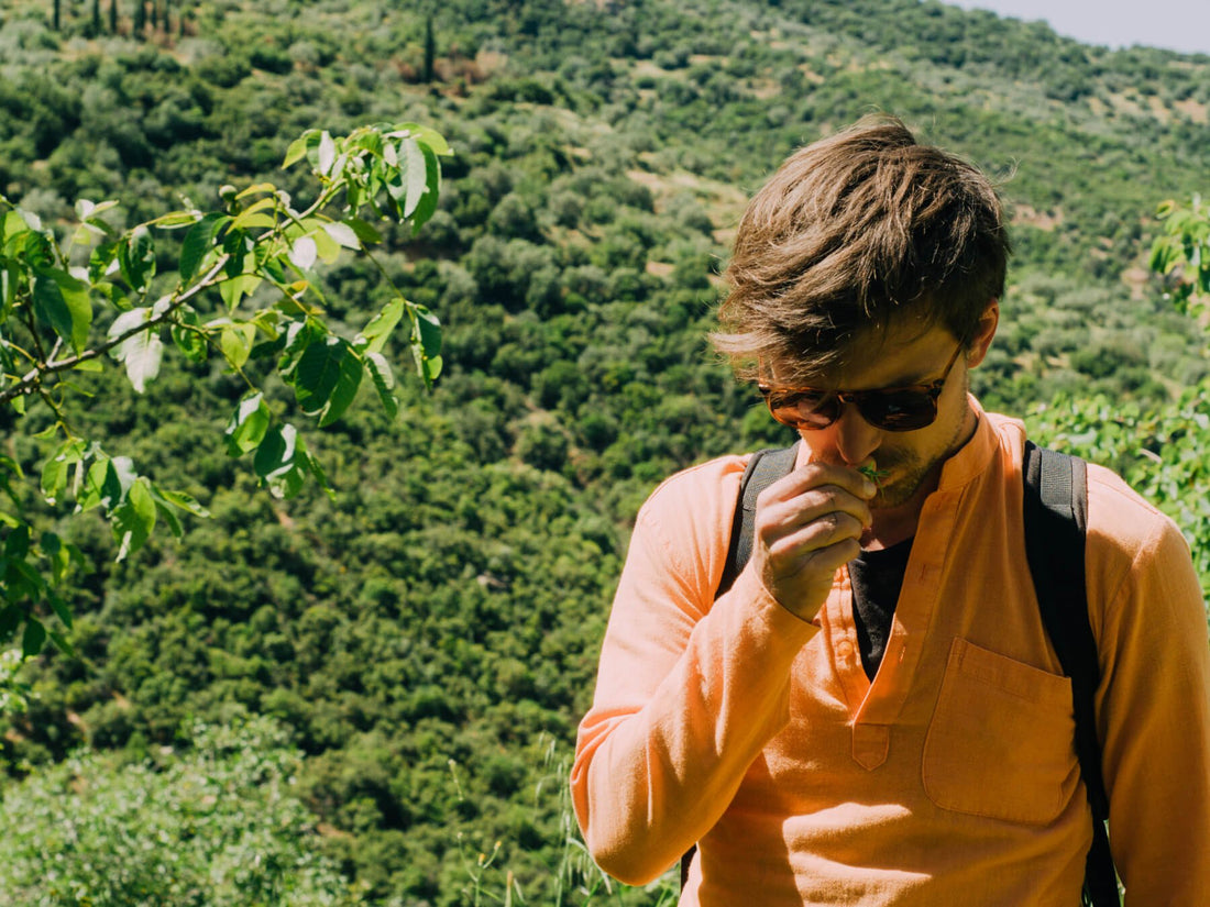 Kräutersafari in Griechenland 🌿 - Direkt vom Feld