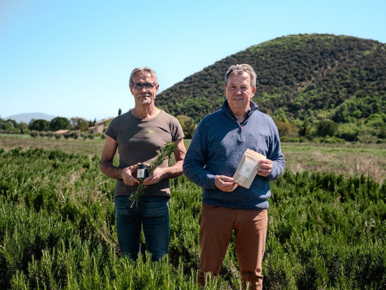 Les Aromates de Provence 🇫🇷 - Direkt vom Feld