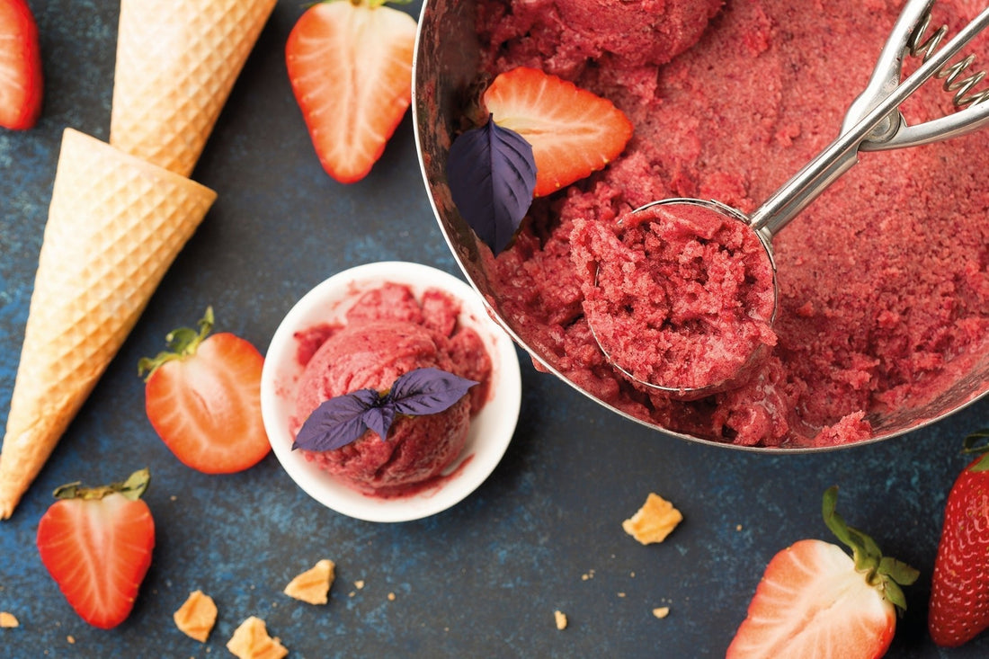 Selbstgemachtes Beerensorbet mit Basilikum - Direkt vom Feld
