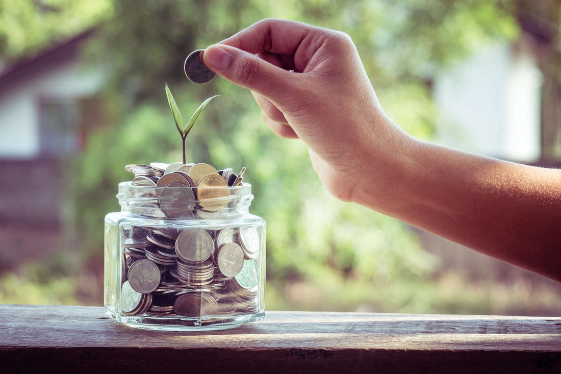 Trinkgeld für den guten Zweck 🌳 - Direkt vom Feld