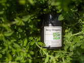 Berg - Oregano - Direkt vom Feld