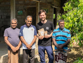 Ceylon - Zimt - Direkt vom Feld