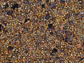 Indian Masala - Direkt vom Feld