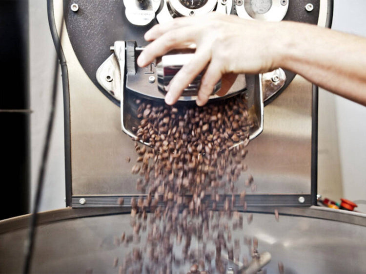 Robusta Espresso Wayanad Kaapi - Direkt vom Feld
