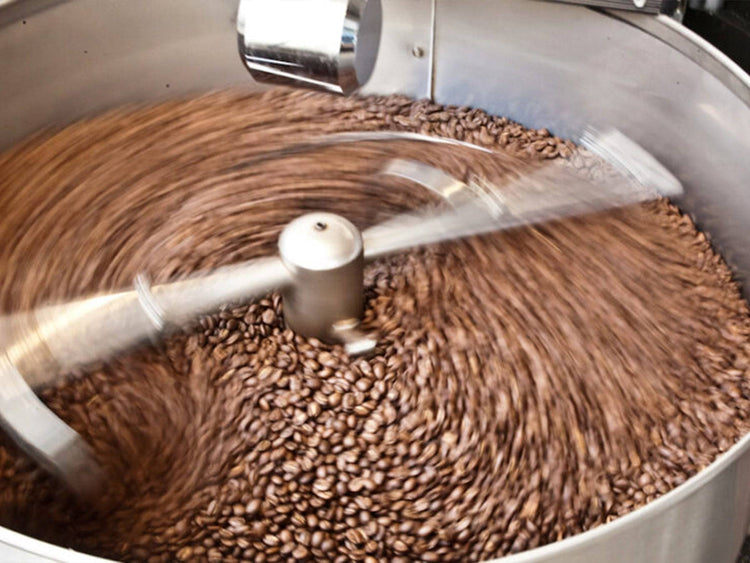 Robusta Espresso Wayanad Kaapi - Direkt vom Feld