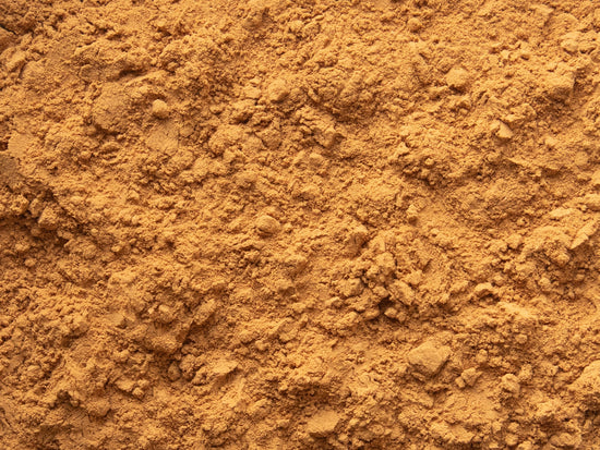 Vietnamesischer Königszimt - Direkt vom Feld