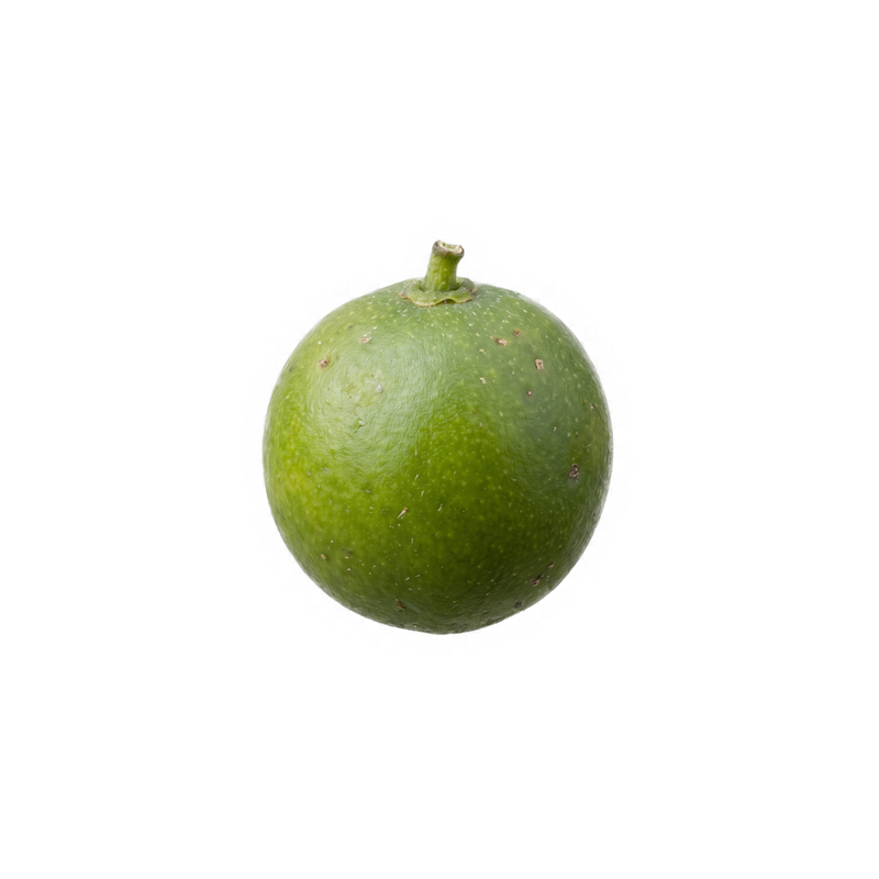 Einzelne grüne Pfefferbeere