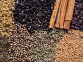 Indian Masala - Direkt vom Feld