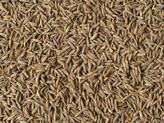 Kreuzkümmelsamen im Detail | Biogewürze Direkt vom Feld