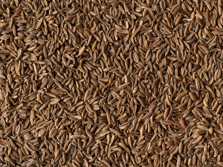 Kümmelsamen im Detail | Biogewürze Direkt vom Feld