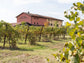 Aceto Balsamico di Modena IGP
