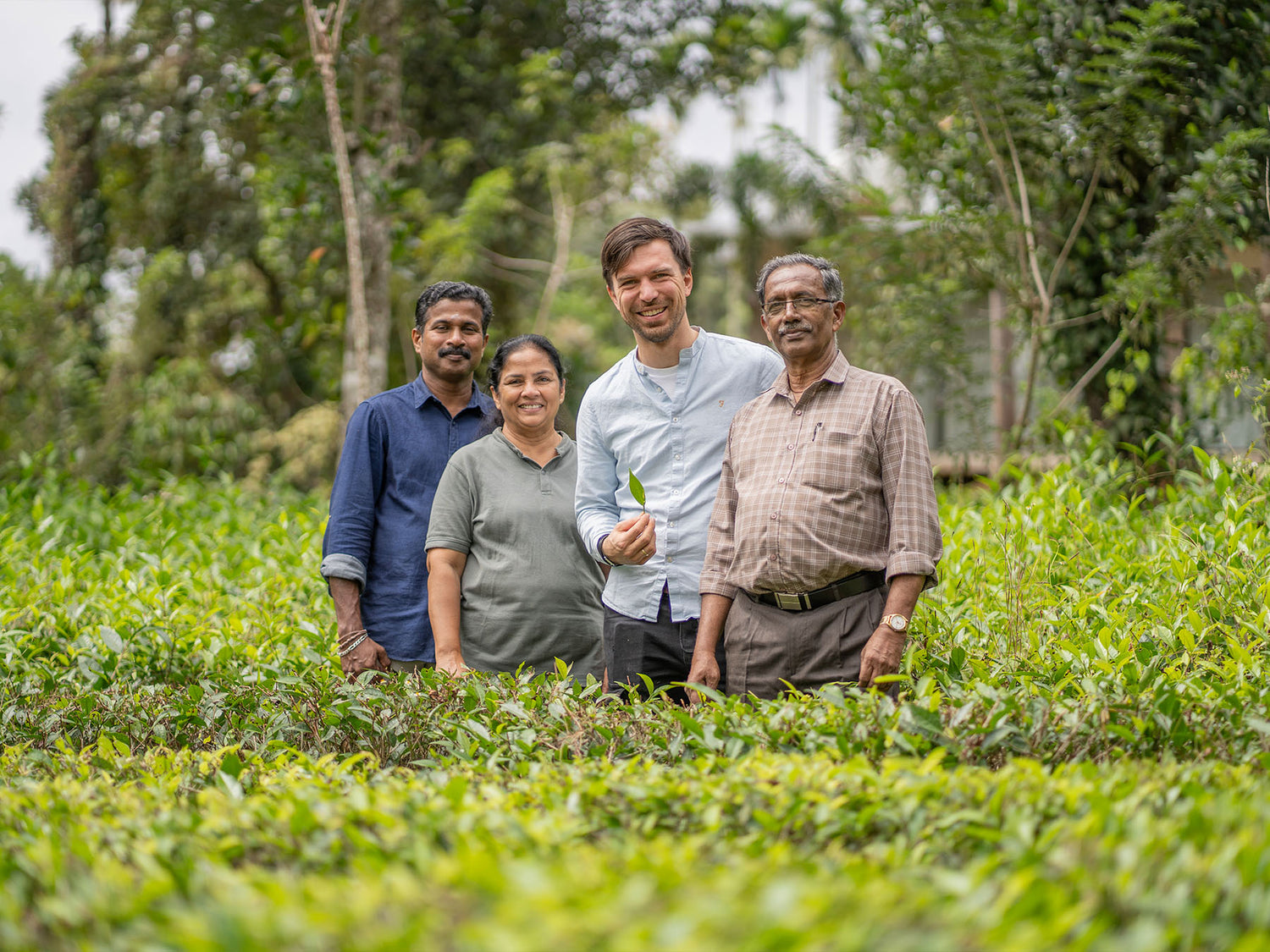 Grüntee | Bio-Tee Direkt vom Feld, Richard mit Kooperative Organic Wayanad in Indien
