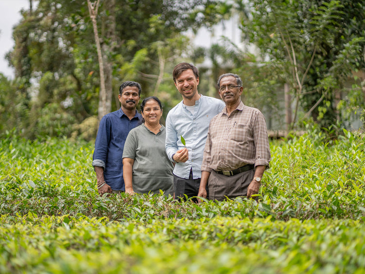 Grüntee | Bio-Tee Direkt vom Feld, Richard mit Kooperative Organic Wayanad in Indien