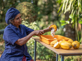 Erzeugerin der Kooperative Organic Wayanad beim Verarbeiten frischer Kakaobohnen| Biogewürze Direkt vom Feld