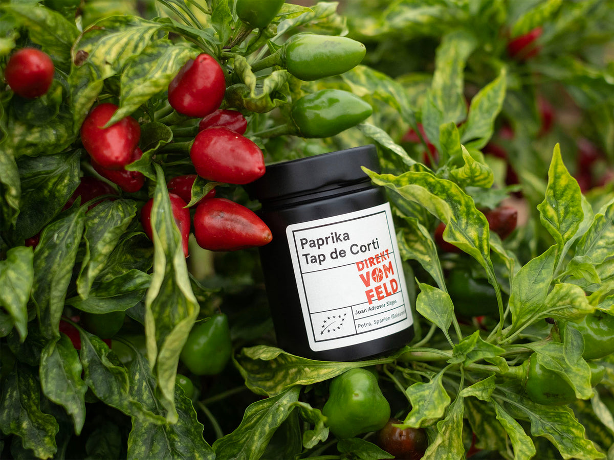 Paprika Tap de Cortí | Biogewürze Direkt vom Feld
