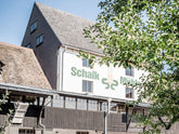 Schalkmühle | Schwarzkümmel | Biogewürze Direkt vom Feld