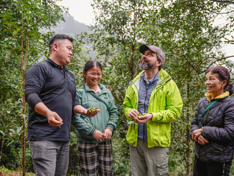 Boris auf Feldbesuch bei der Kooperative DACE in Vietnam | Sternanis Direkt vom Feld