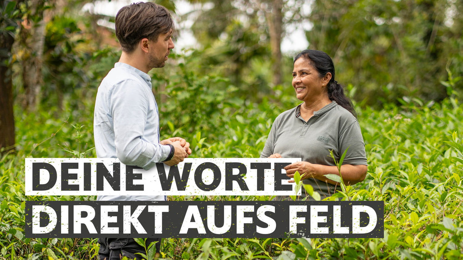 Laden Sie das Video: 