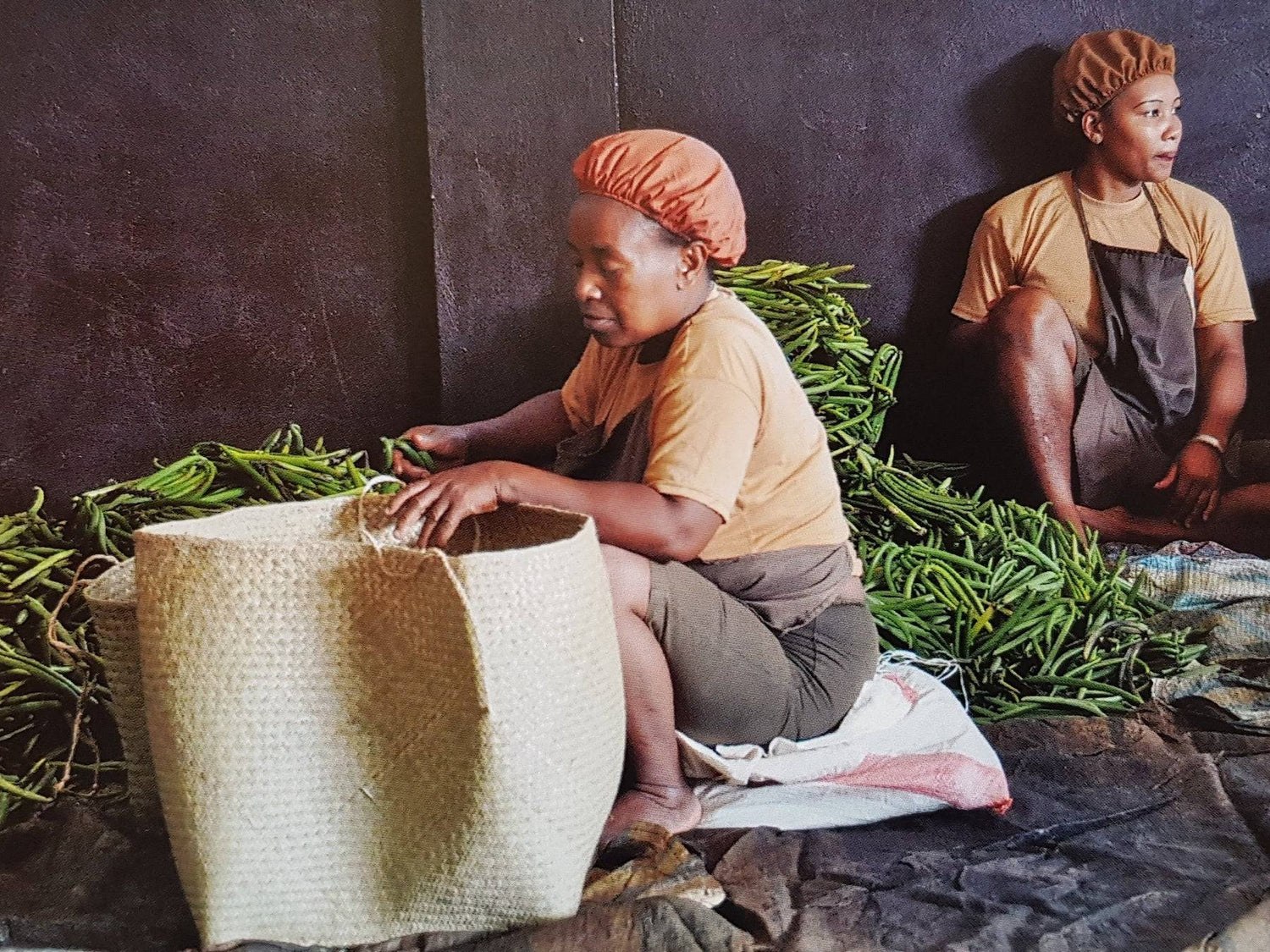 Vanilleschoten Verarbeitung auf Madagaskar – Direkt vom Feld