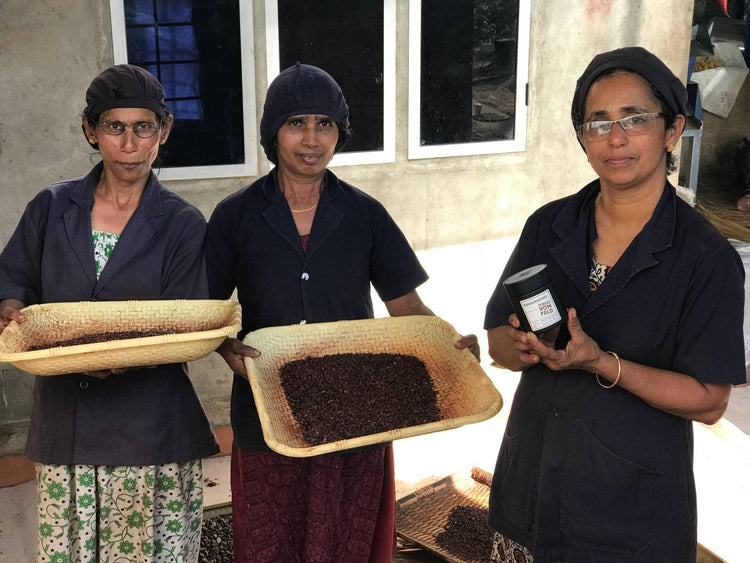 Mitarbeiterinnen auf der Kakaoplantage mit Bio Kakaobohnen von Direkt vom Feld