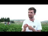 Video: Was macht den paprika Tap de Cortí so besonders? von Direkt vom Feld